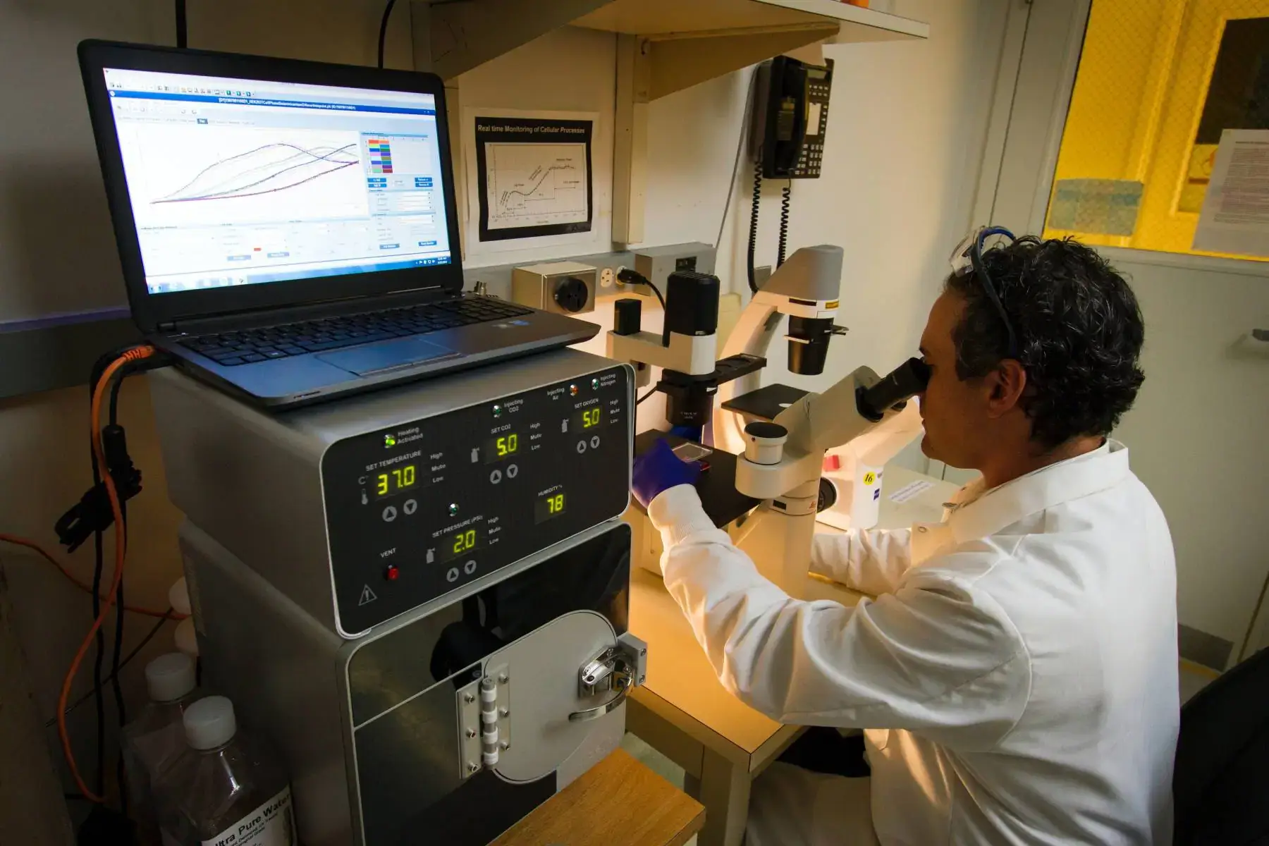 Advancements in Peptide Synthesis and Application
